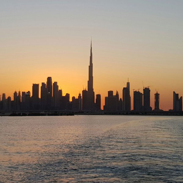 UAE pharmaceutical landscape: key players and what they mean for market entry